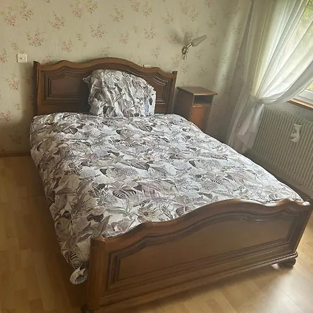 Superbe Maison 3 1 Etage Et Sous-sol, Avec Jardin Et Terrasse